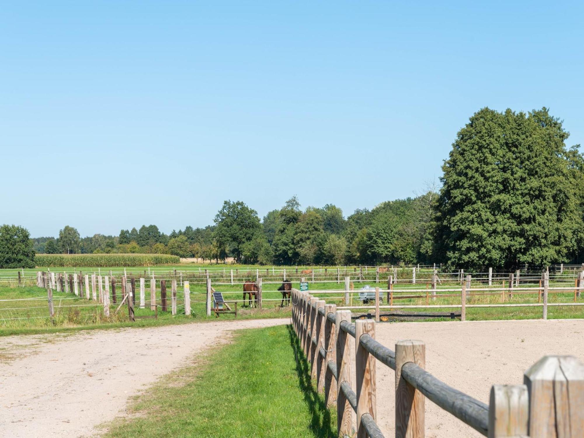 Holiday Home On A Horse Farm In The L Neburg Heath Eschede Exterior foto